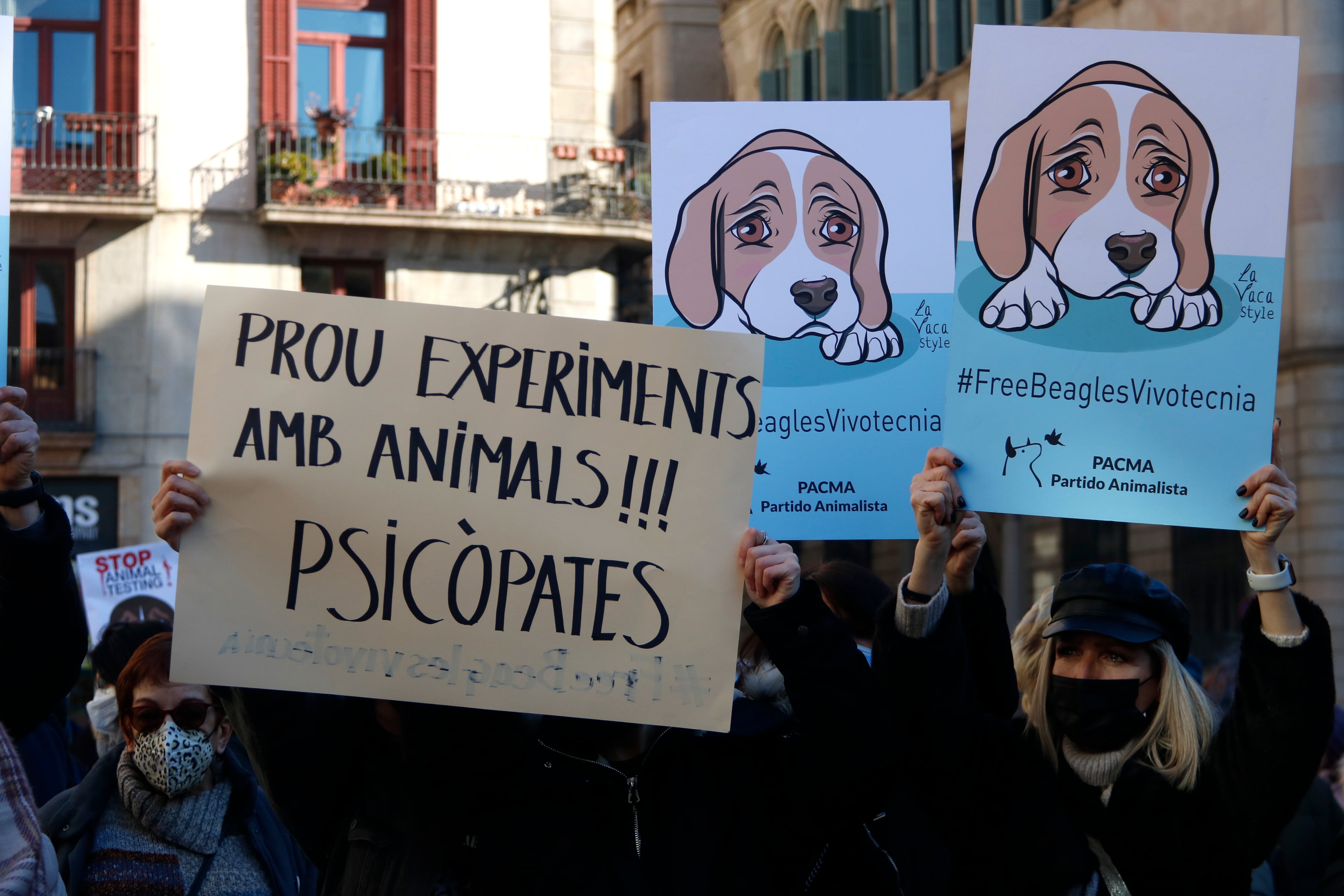 Hundreds of people gathered at Plaça Sant Jaume on January 22, 2022 to protest animal testing (by Blanca Blay)